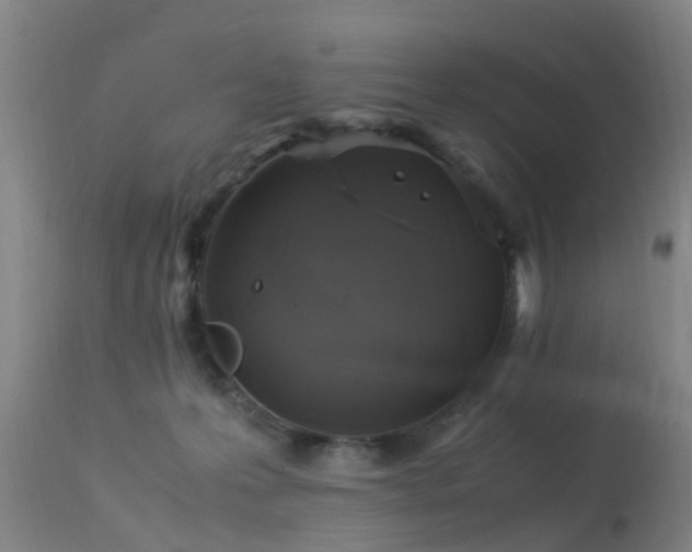 X0000113290223200909211111