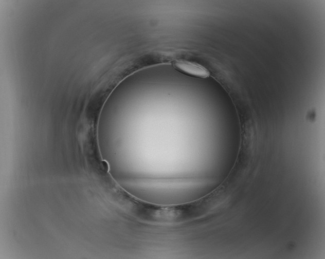 X0000113290225200909211111