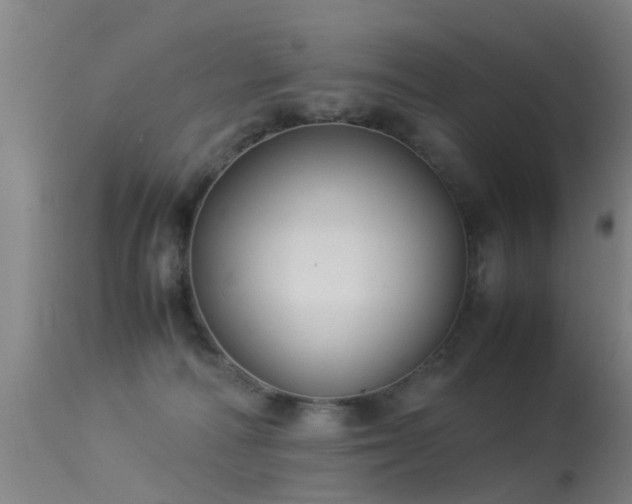 X0000113290226200909211111