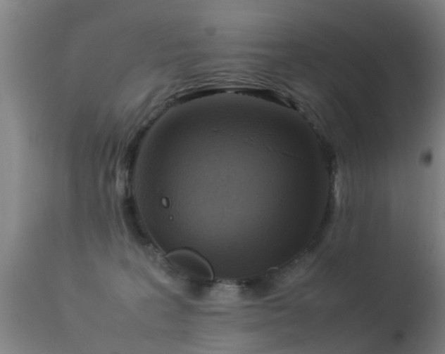 X0000113290227200909211111