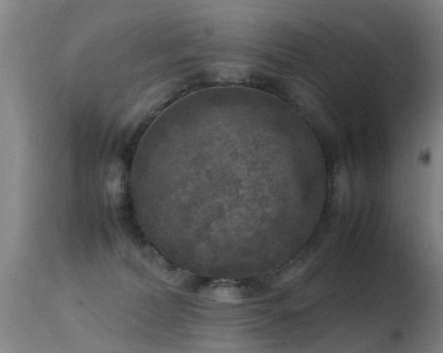 X0000113290228200909211111