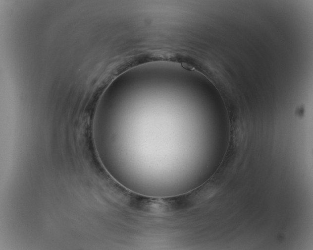 X0000113290229200909211111