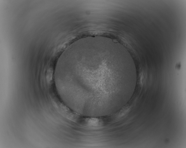 X0000113290230200909211111