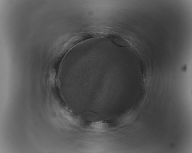 X0000113290231200909211111