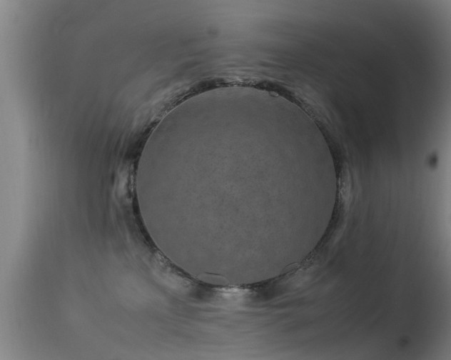 X0000113290233200909211111