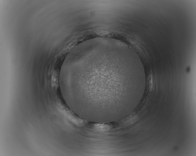 X0000113290234200909211111