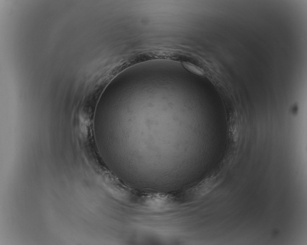 X0000113290235200909211111