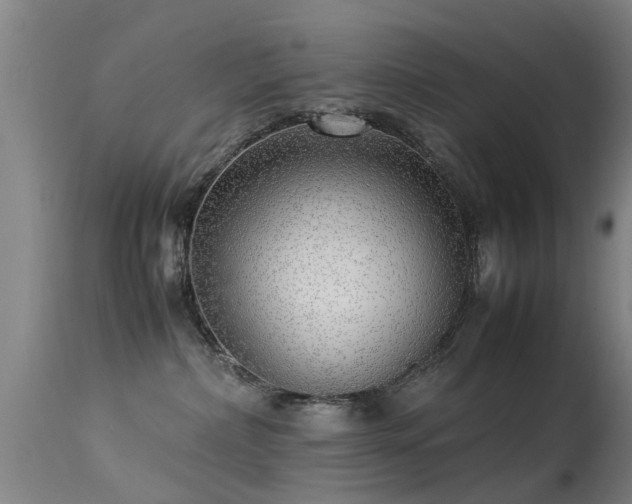 X0000113290236200909211111