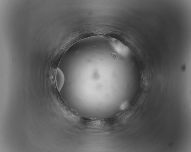 X0000113290237200909211110