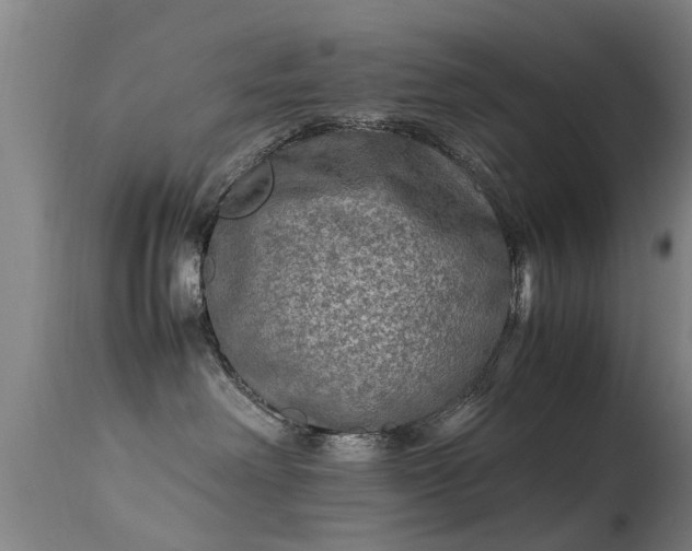 X0000113290238200909211110