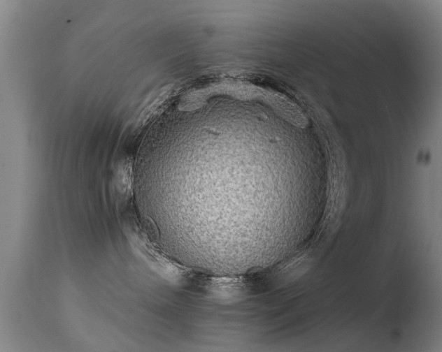 X0000113290240200909211110