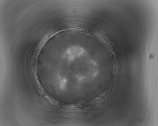 X0000113290241200909211110