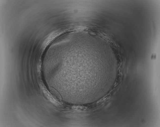 X0000113290242200909211110