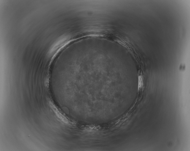 X0000113290243200909211110