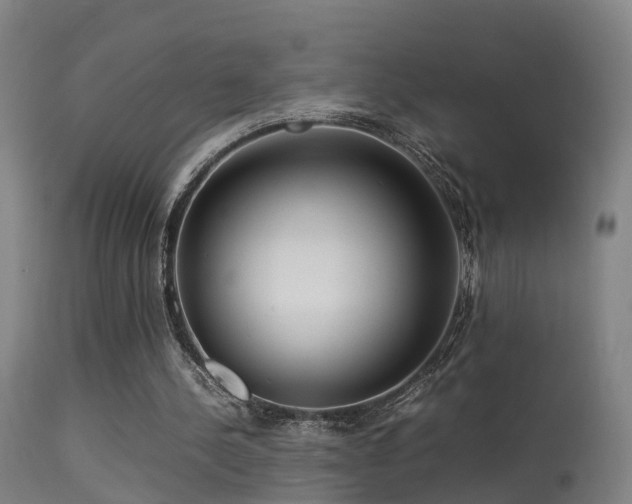 X0000113290244200909211110