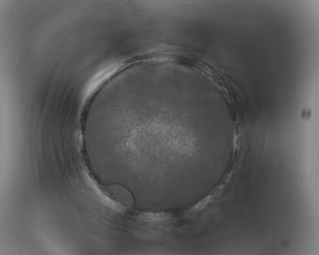 X0000113290245200909211110