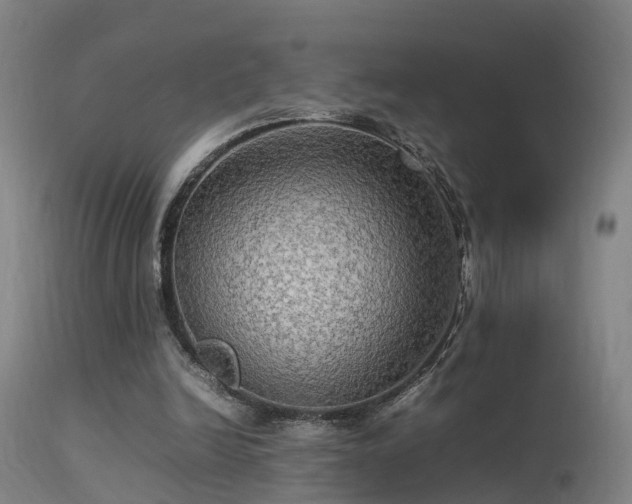 X0000113290246200909211110