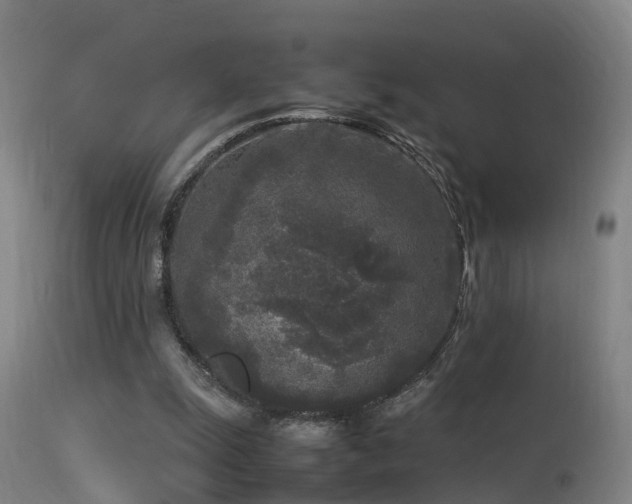 X0000113290247200909211110