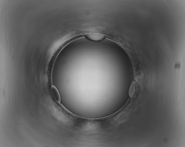 X0000113290248200909211110