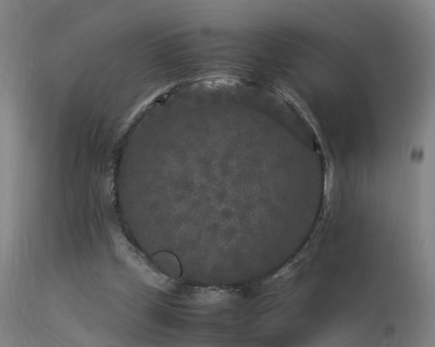 X0000113290249200909211110