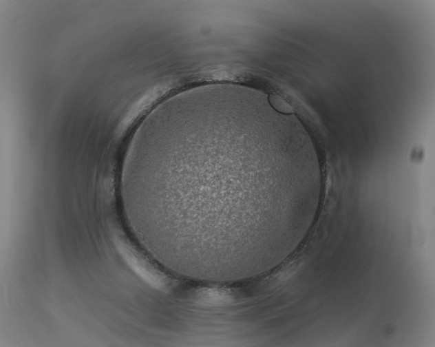 X0000113290250200909211110