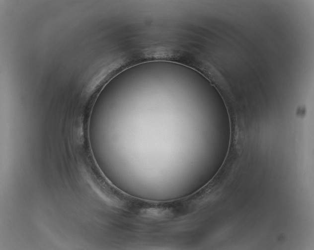 X0000113290251200909211110