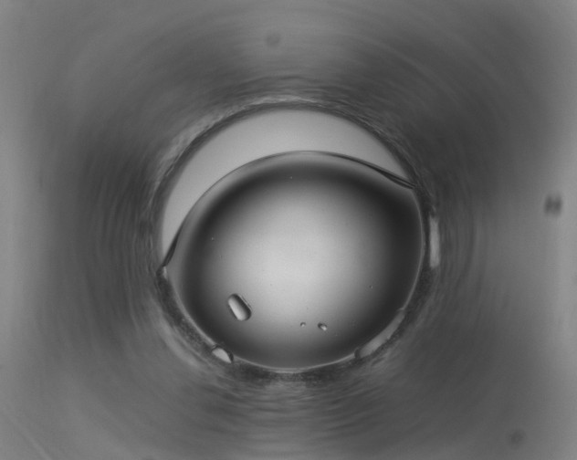 X0000113290252200909211110