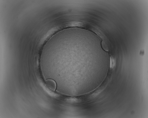 X0000113290253200909211110