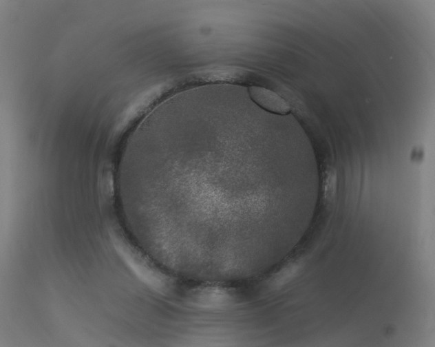 X0000113290254200909211110