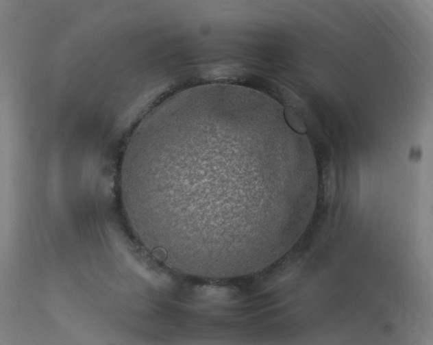 X0000113290255200909211110