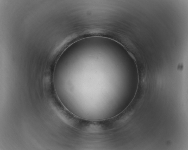 X0000113290256200909211110