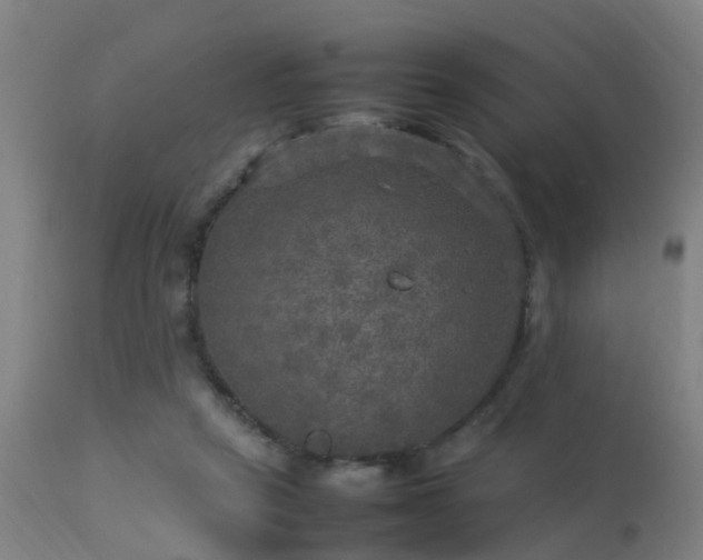 X0000113290257200909211110