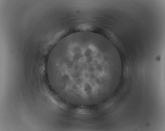 X0000113290259200909211110