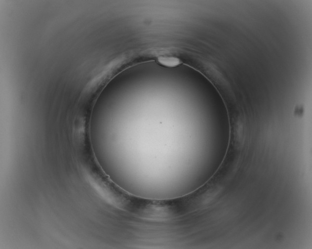 X0000113290260200909211110