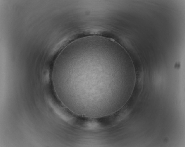 X0000113290262200909211110