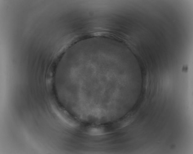 X0000113290263200909211110