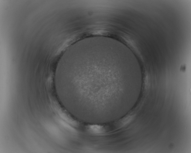 X0000113290265200909211110