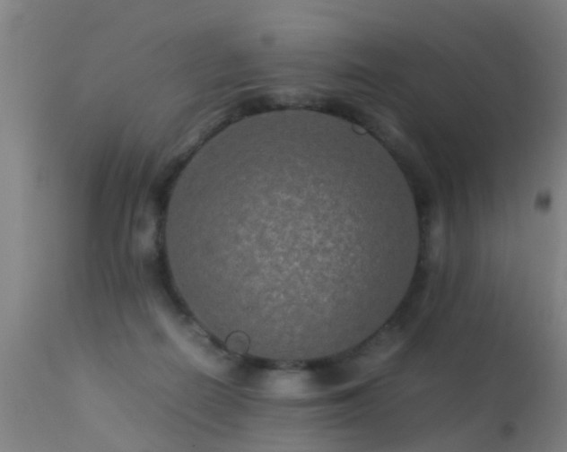 X0000113290266200909211110