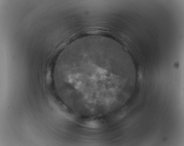 X0000113290267200909211110