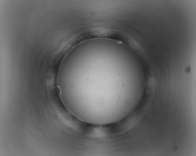 X0000113290268200909211110