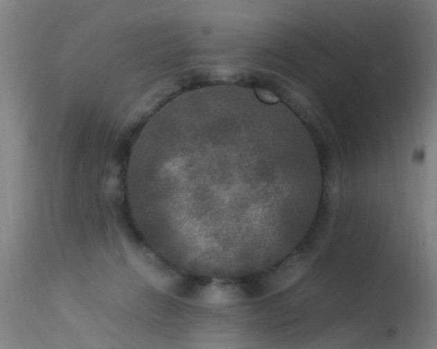 X0000113290270200909211110