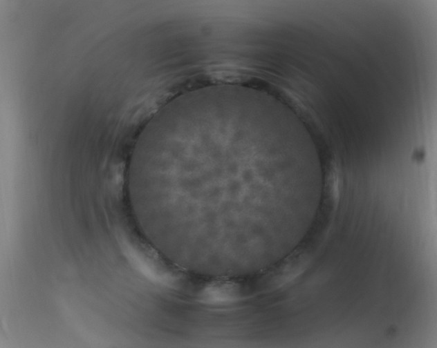 X0000113290271200909211110