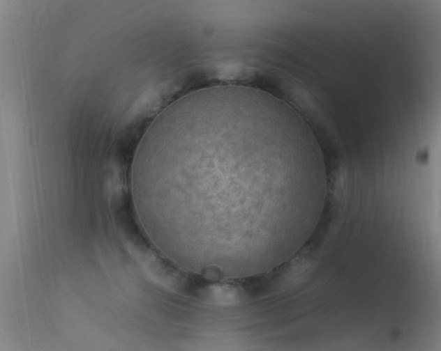 X0000113290272200909211110