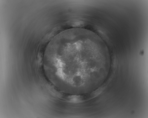 X0000113290273200909211110