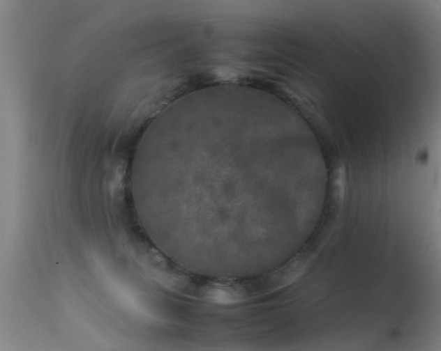 X0000113290275200909211110