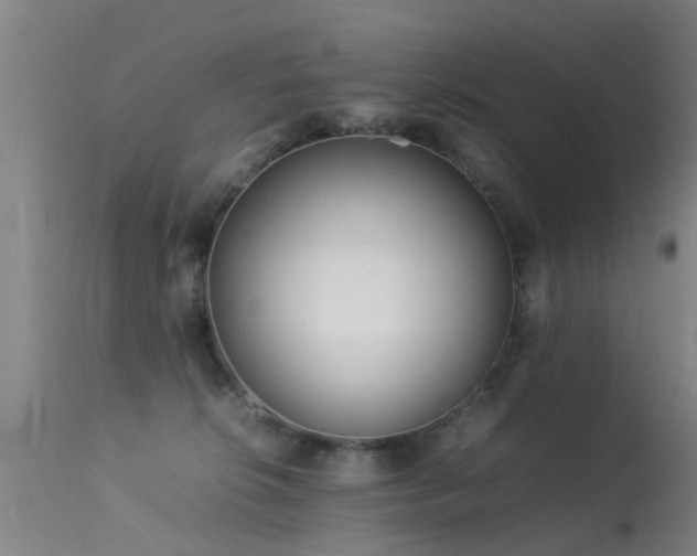 X0000113290276200909211110