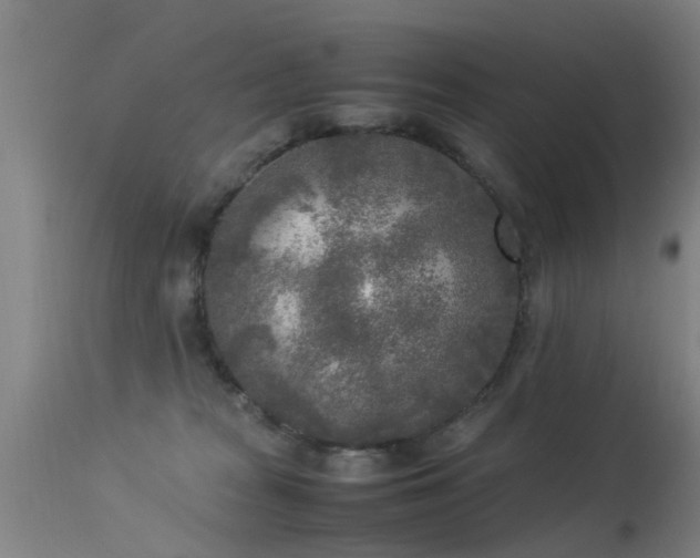 X0000113290277200909211110