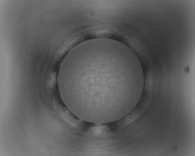 X0000113290278200909211110