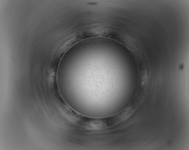 X0000113290279200909211110