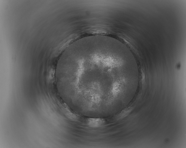 X0000113290281200909211110